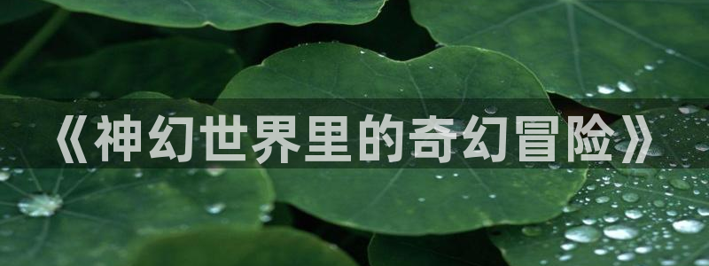 51漫画sss：《神幻世界里的奇幻冒险》