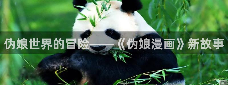 51漫画的内容：伪娘世界的冒险——《伪娘漫画》新故事