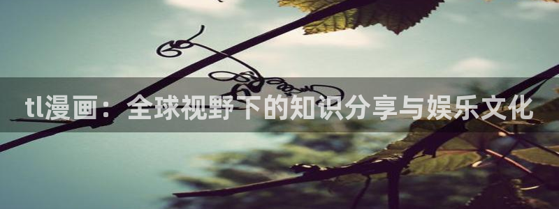 51漫画.apk：tl漫画：全球视野下的知识分享与娱乐文化